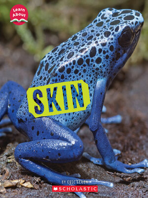 cover image of Skin